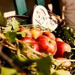 Zur Maultrommel Apartamento Molln