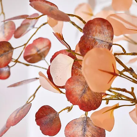 Zur Maultrommel 아파트