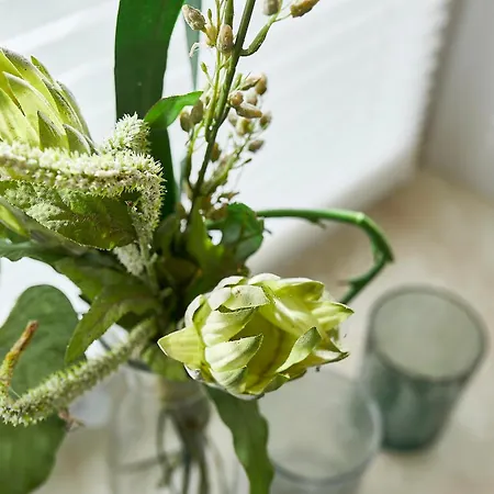 Appartement Zur Maultrommel *