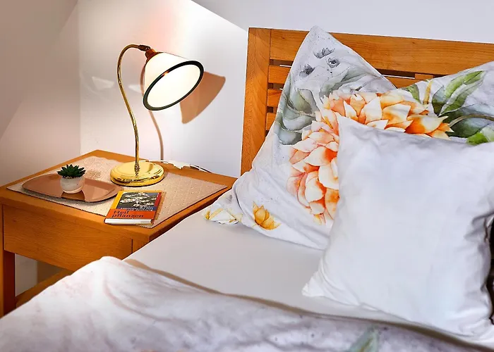 Zur Maultrommel * Molln