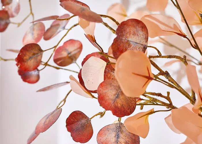 Zur Maultrommel Appartamento