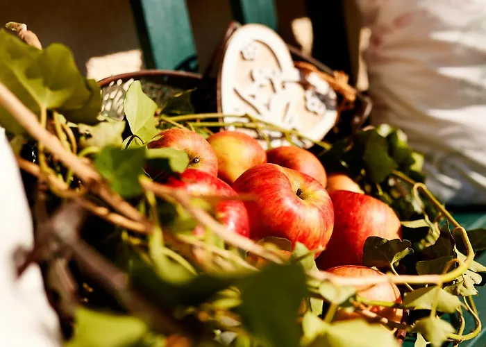 Zur Maultrommel Διαμέρισμα Molln