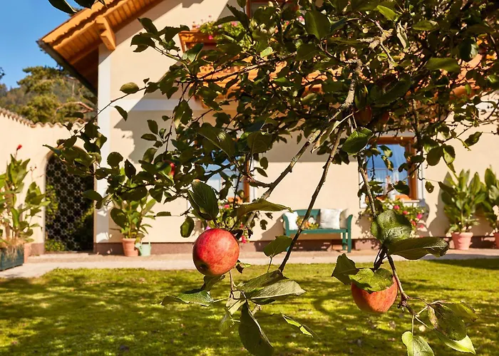 Zur Maultrommel Appartamento Molln