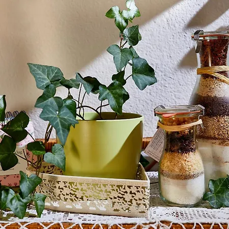 Zur Maultrommel アパート