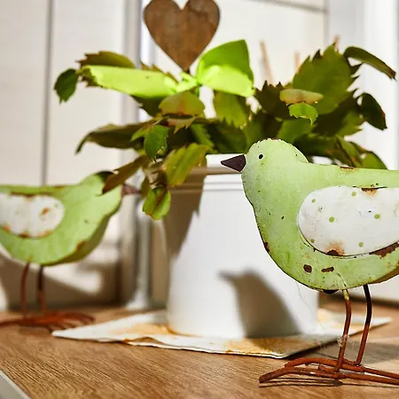 Zur Maultrommel アパート *