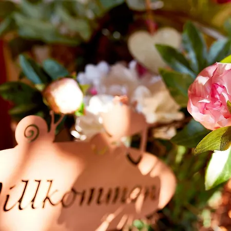 Zur Maultrommel アパート *