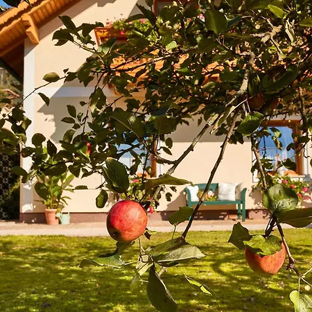 Zur Maultrommel アパート Molln