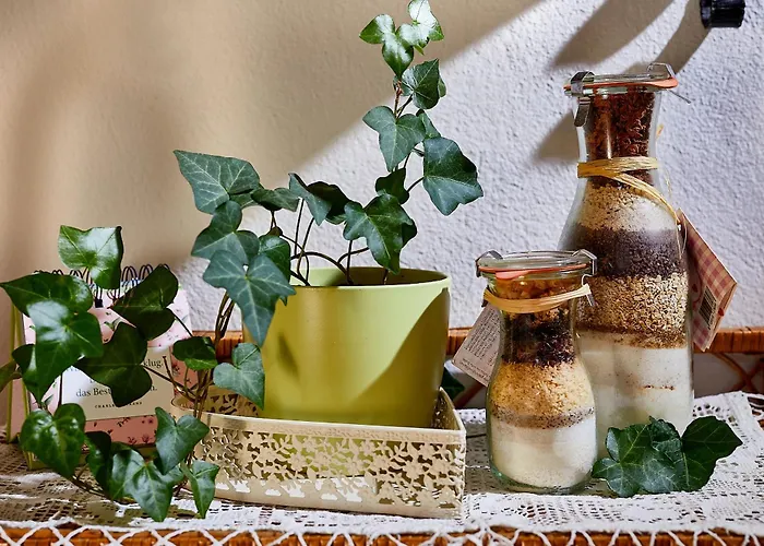 Zur Maultrommel Apartamento